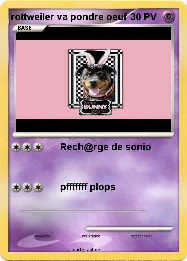 Pokemon rottweiler va pondre oeuf