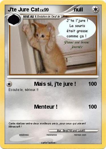 Pokemon J'te Jure Cat