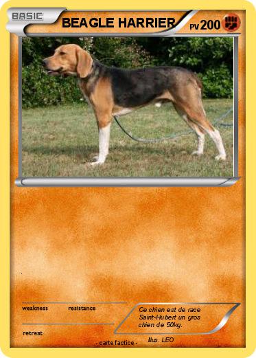 Pokemon BEAGLE HARRIER