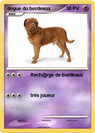 Pokemon dogue du bordeaux