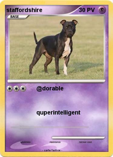 Pokemon staffordshire