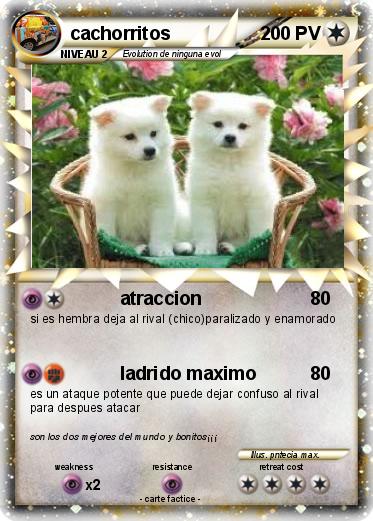 Pokemon cachorritos