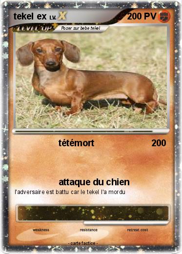 Pokemon tekel ex