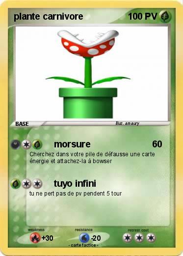 Pokemon plante carnivore