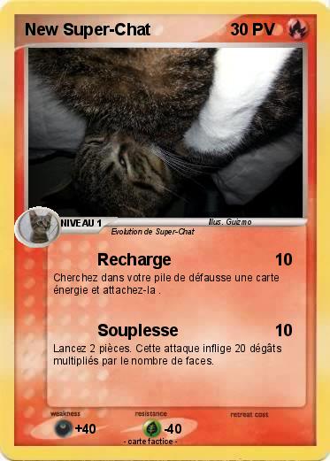 Pokemon New Super-Chat