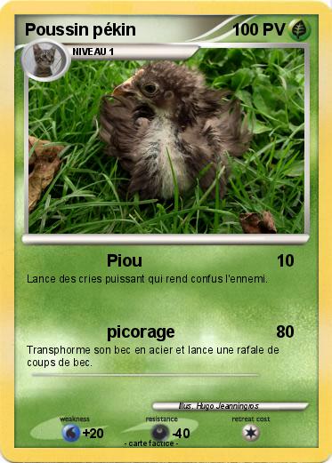 Pokemon Poussin pékin