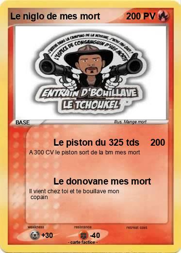 Pokemon Le niglo de mes mort