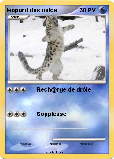 Pokemon leopard des neige