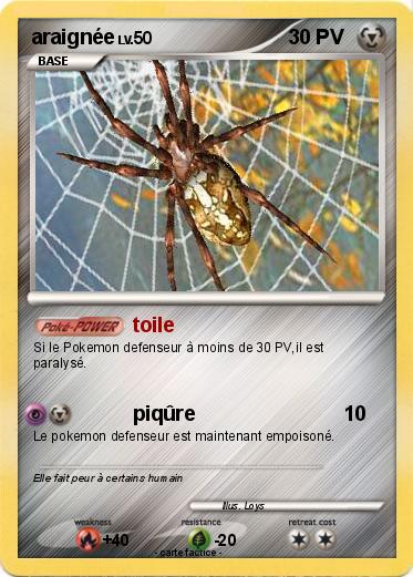 Pokemon araignée