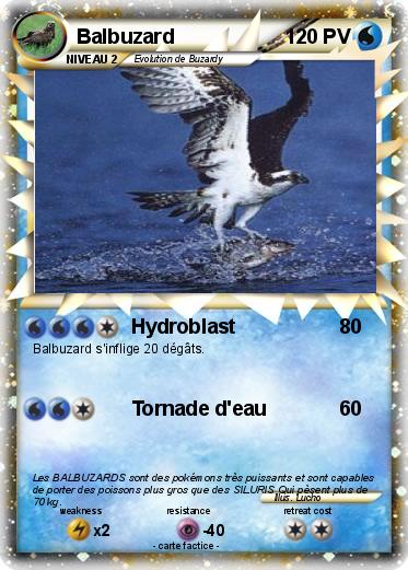 Pokemon Balbuzard