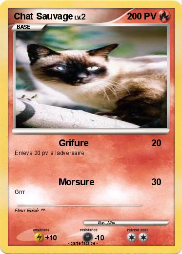 Pokemon Chat Sauvage