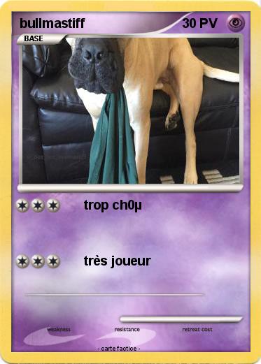 Pokemon bullmastiff