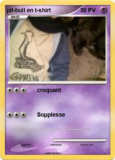 Pokemon pit-bull en t-shirt