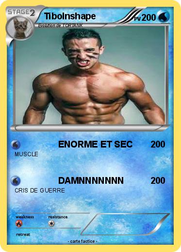 Pokemon TiboInshape