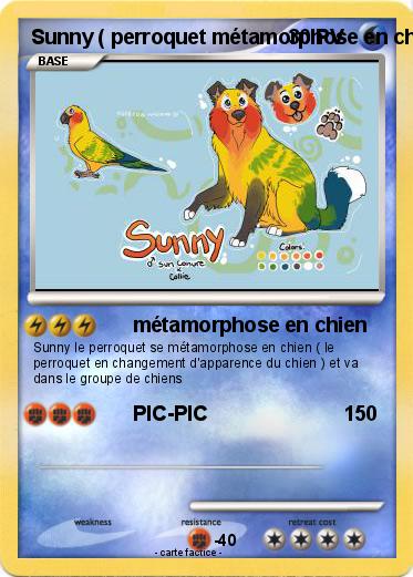 Pokemon Sunny ( perroquet métamorphose en chien )