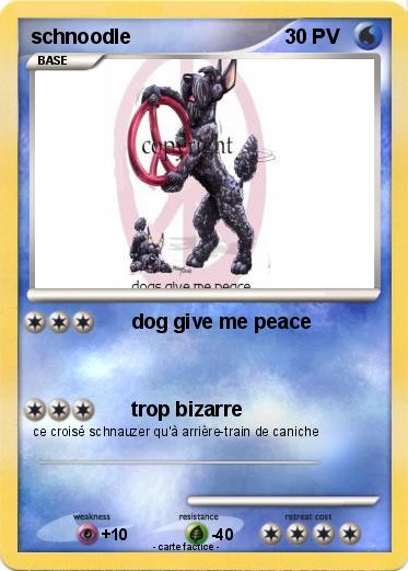 Pokemon schnoodle
