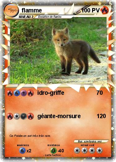 Pokemon flamme