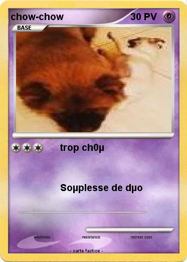 Pokemon chow-chow