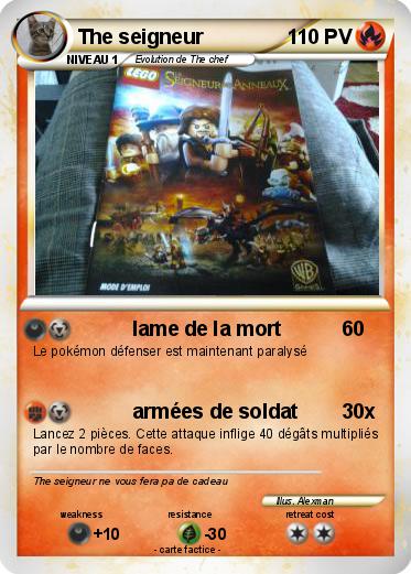 Pokemon The seigneur