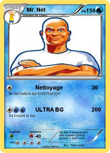 Pokemon Mr. Net
