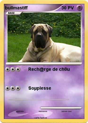 Pokemon bullmastiff