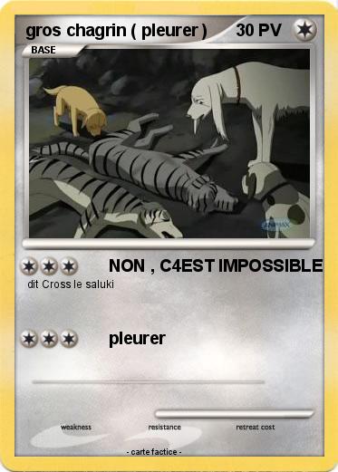 Pokemon gros chagrin ( pleurer )