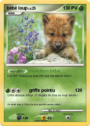 Pokemon bébé loup