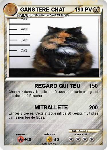 Pokemon GANSTERE CHAT