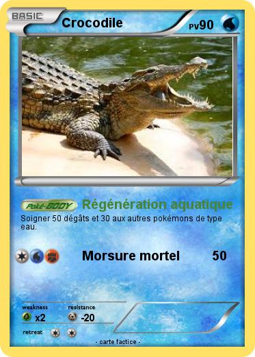 Pokemon Crocodile