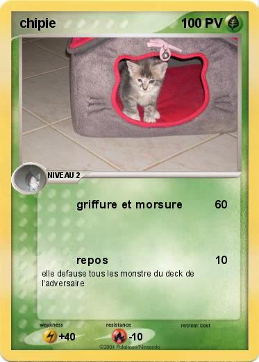 Pokemon chipie