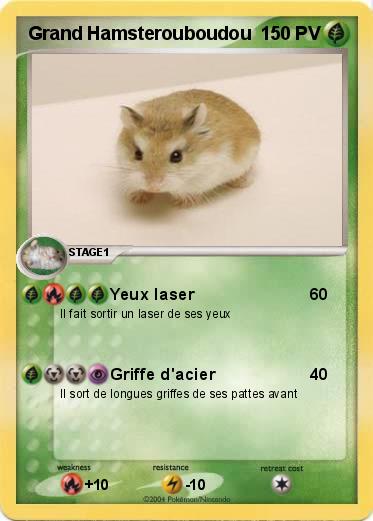 Pokemon Grand Hamsterouboudou