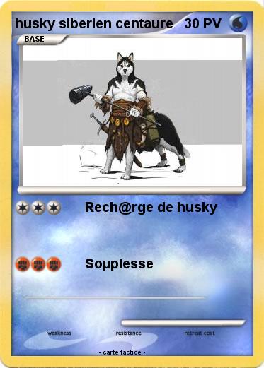 Pokemon husky siberien centaure