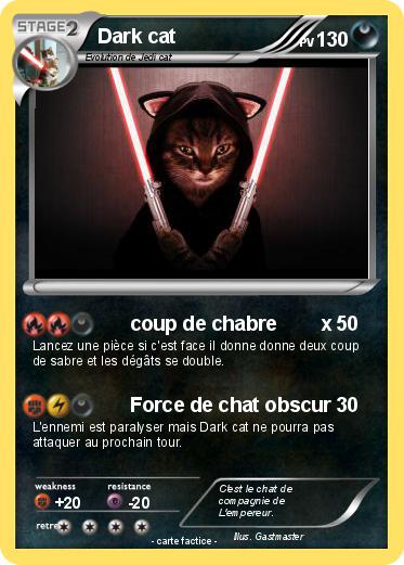 Pokemon Dark cat