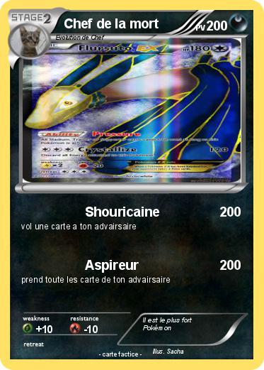 Pokemon Chef de la mort