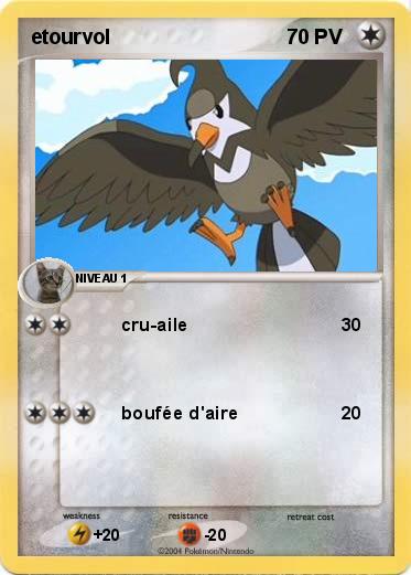 Pokemon etourvol