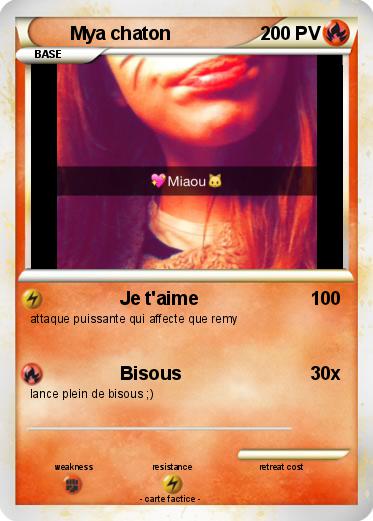 Pokemon Mya chaton