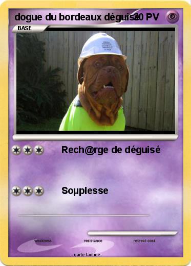 Pokemon dogue du bordeaux déguisé