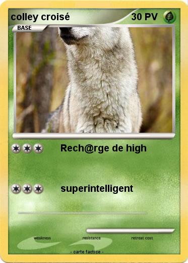 Pokemon colley croisé