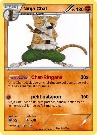 Pokemon Ninja Chat