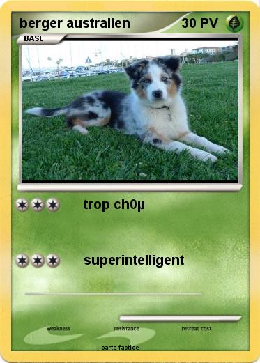 Pokemon berger australien