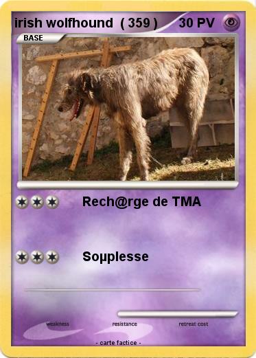 Pokemon irish wolfhound  ( 359 )