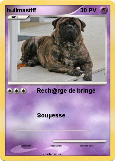 Pokemon bullmastiff