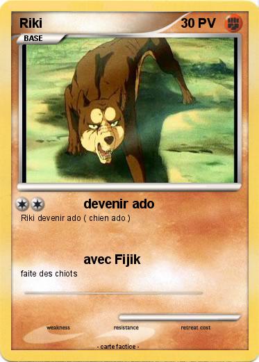 Pokemon Riki