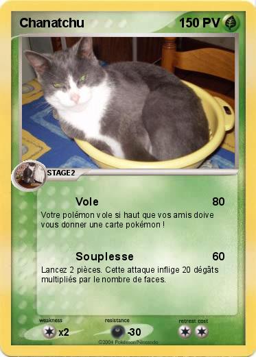 Pokemon Chanatchu