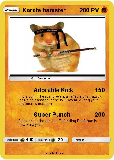 Pokemon Karate hamster