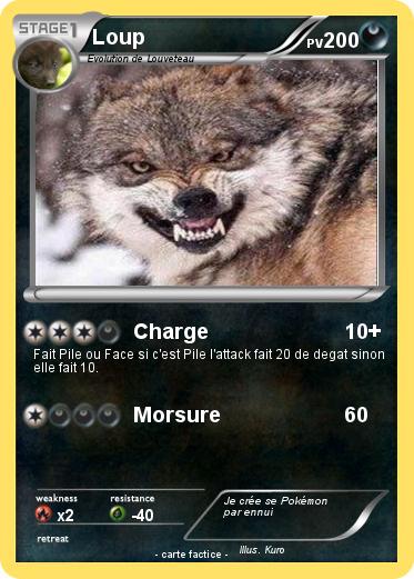 Pokemon Loup