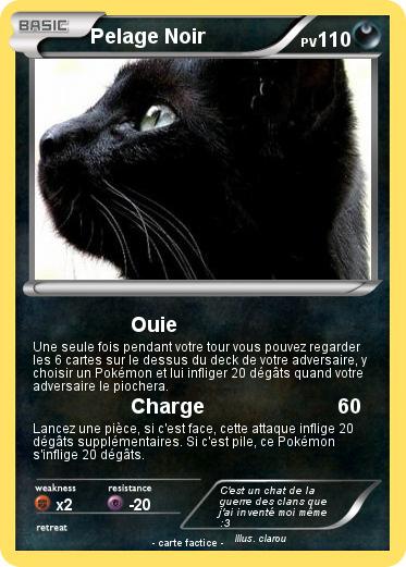 Pokemon Pelage Noir