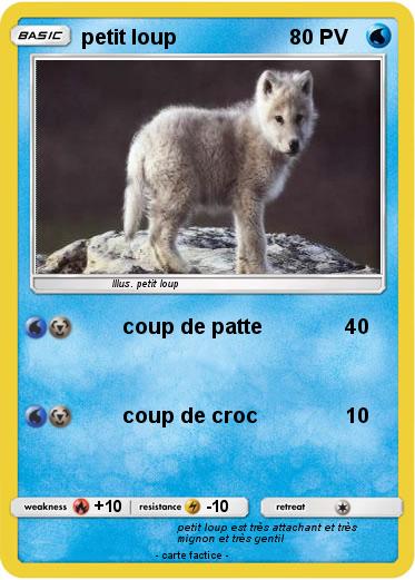 Pokemon petit loup