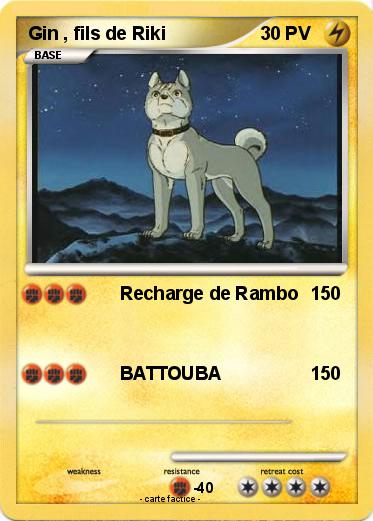 Pokemon Gin , fils de Riki