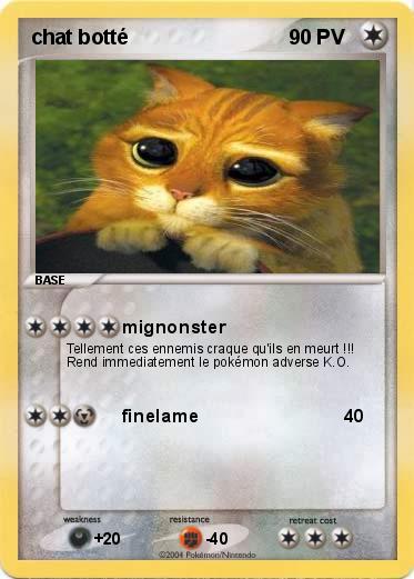Pokemon chat botté